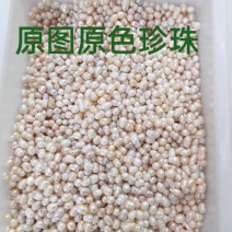 珍珠药用珍珠浙江珍珠粉中药材常年供应量大从优