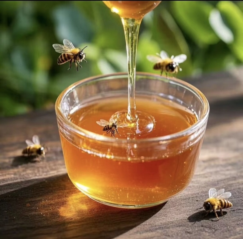 云南特产蜂蜜土蜂蜜全国可发欢迎咨询电联