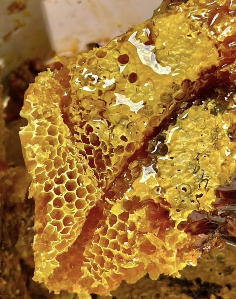 云南特产蜂蜜土蜂蜜全国可发欢迎咨询电联