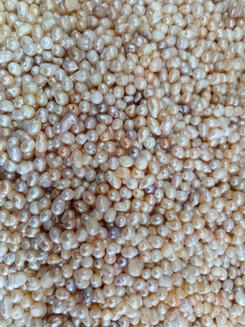 珍珠药用珍珠浙江珍珠粉中药材常年供应量大从优
