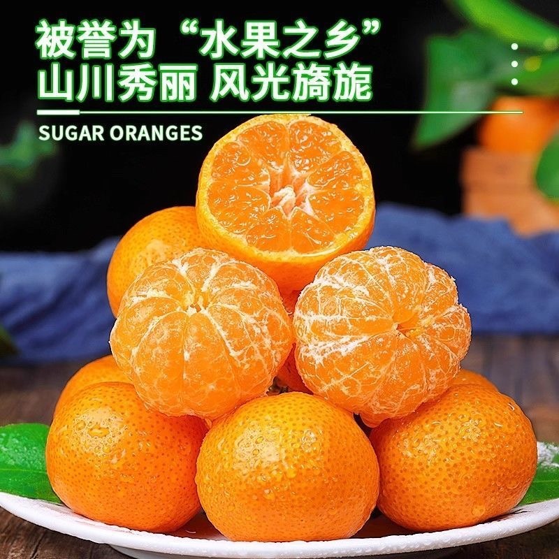 广西西林沙糖桔/产区直发/当天采摘/当天发货/
