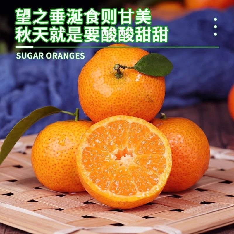 广西西林沙糖桔/产区直发/当天采摘/当天发货/