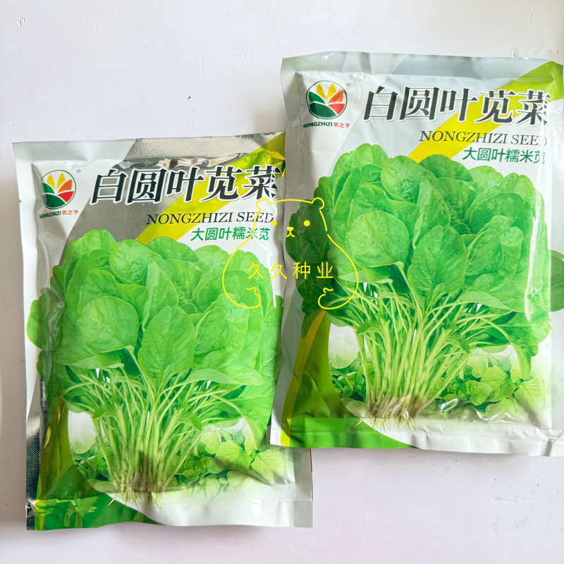 农之子白圆叶苋菜种子白苋菜籽大圆叶糯米苋菜种子耐热耐湿