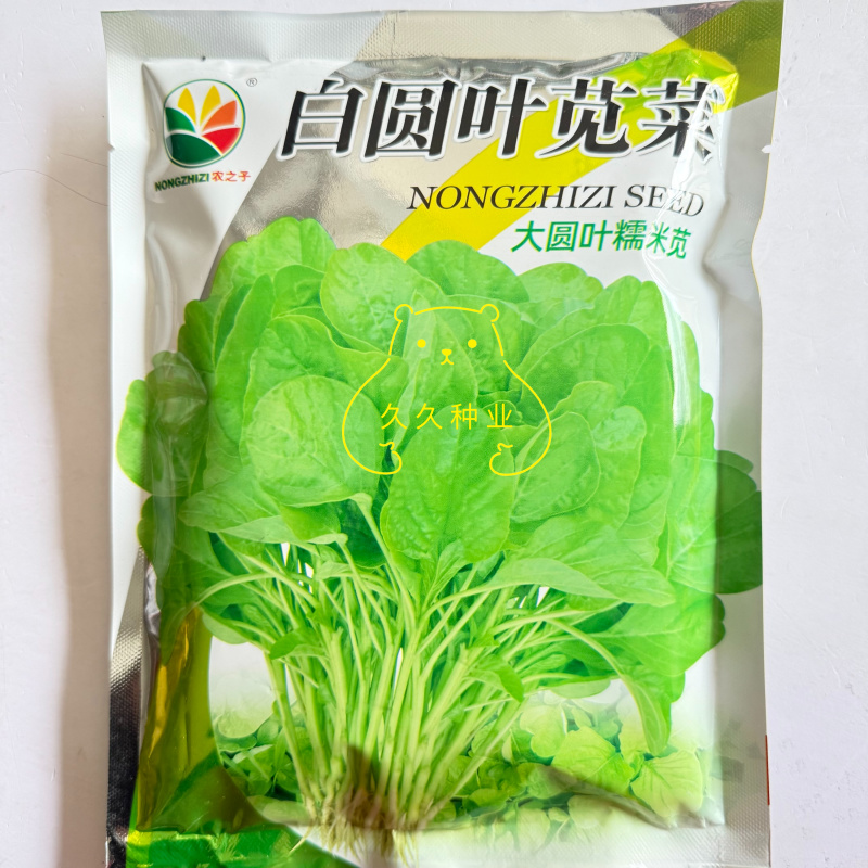 农之子白圆叶苋菜种子白苋菜籽大圆叶糯米苋菜种子耐热耐湿
