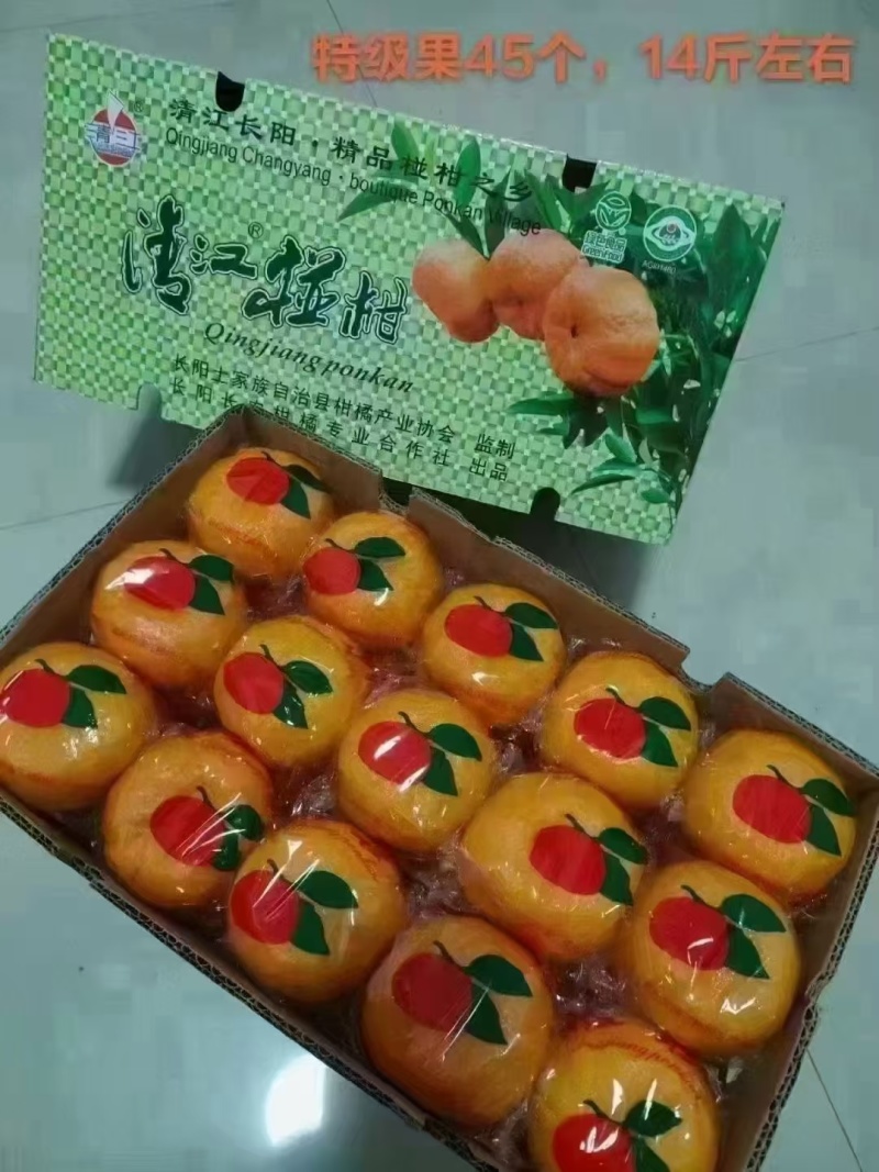 湖北长阳清江椪柑