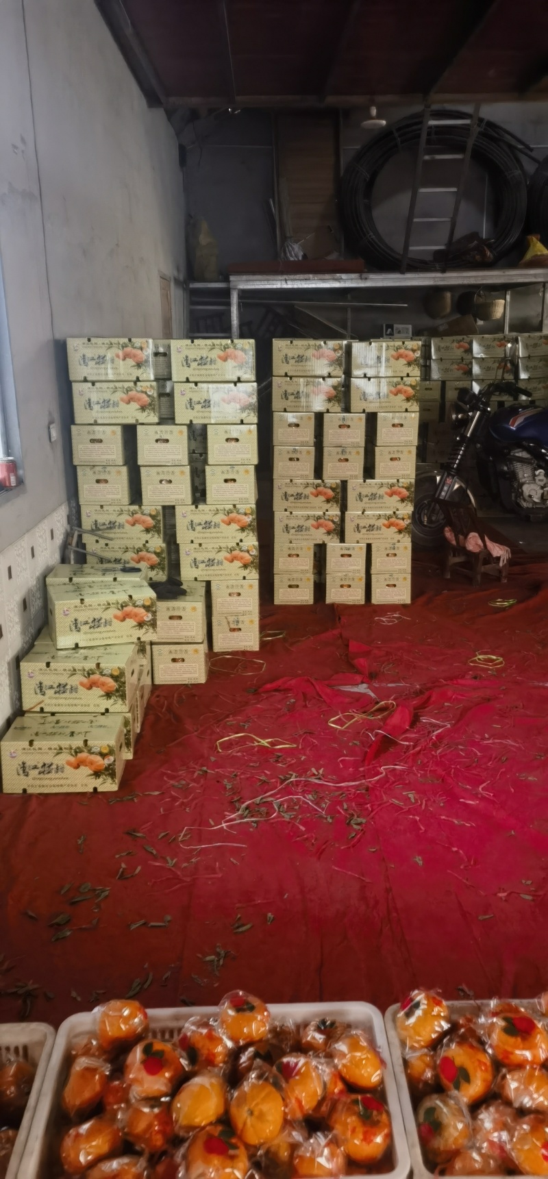湖北长阳清江椪柑