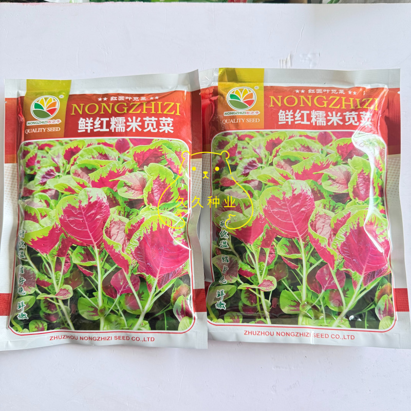 农之子鲜红糯米苋菜种子优质高产蔬菜耐热耐湿抗逆商品性佳春