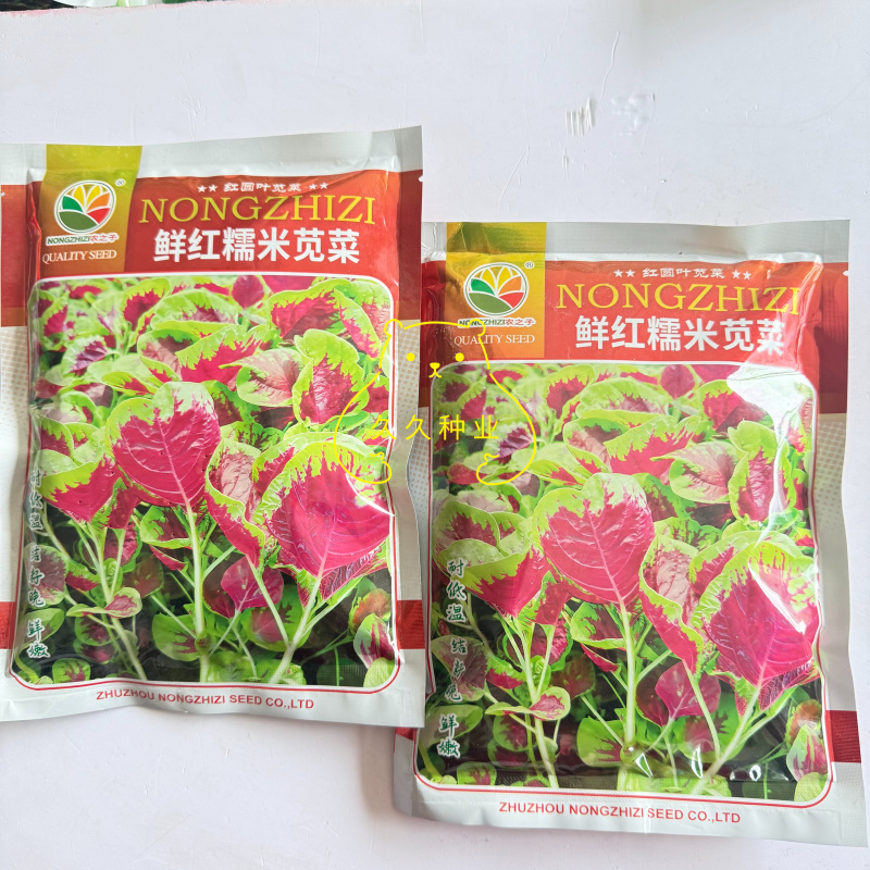 农之子鲜红糯米苋菜种子优质高产蔬菜耐热耐湿抗逆商品性佳春