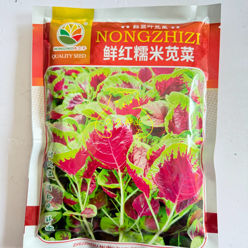农之子鲜红糯米苋菜种子优质高产蔬菜耐热耐湿抗逆商品性佳春