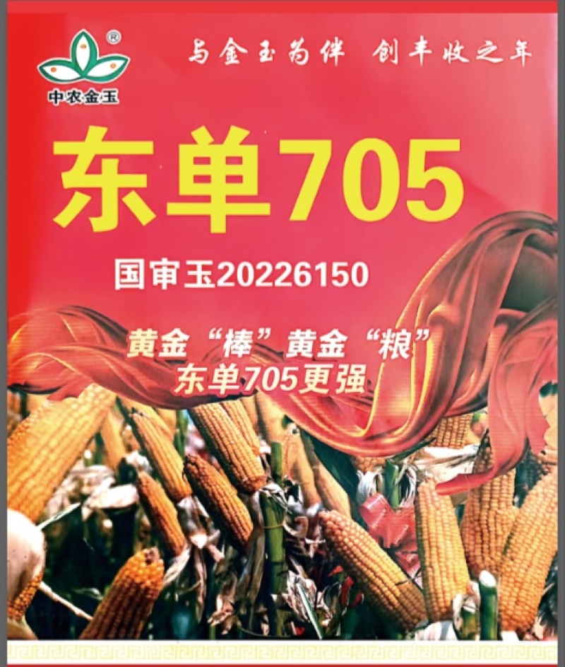 705玉米种子高抗高产新品种，吨粮不是梦。