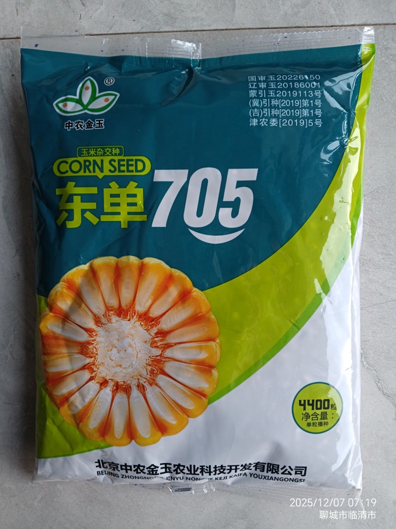 705玉米种子高抗高产新品种，吨粮不是梦。