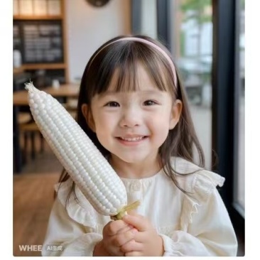 7401雪甜水果玉米