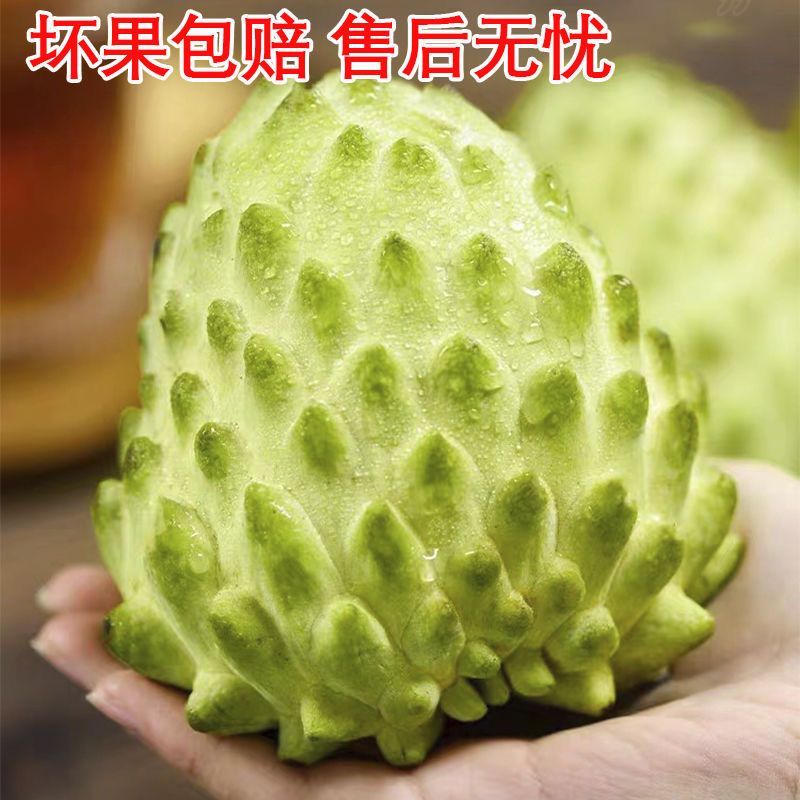新鲜牛奶释迦果凤梨释迦果特大新鲜佛头果当季热带水果