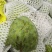新鲜牛奶释迦果凤梨释迦果特大新鲜佛头果当季热带水果