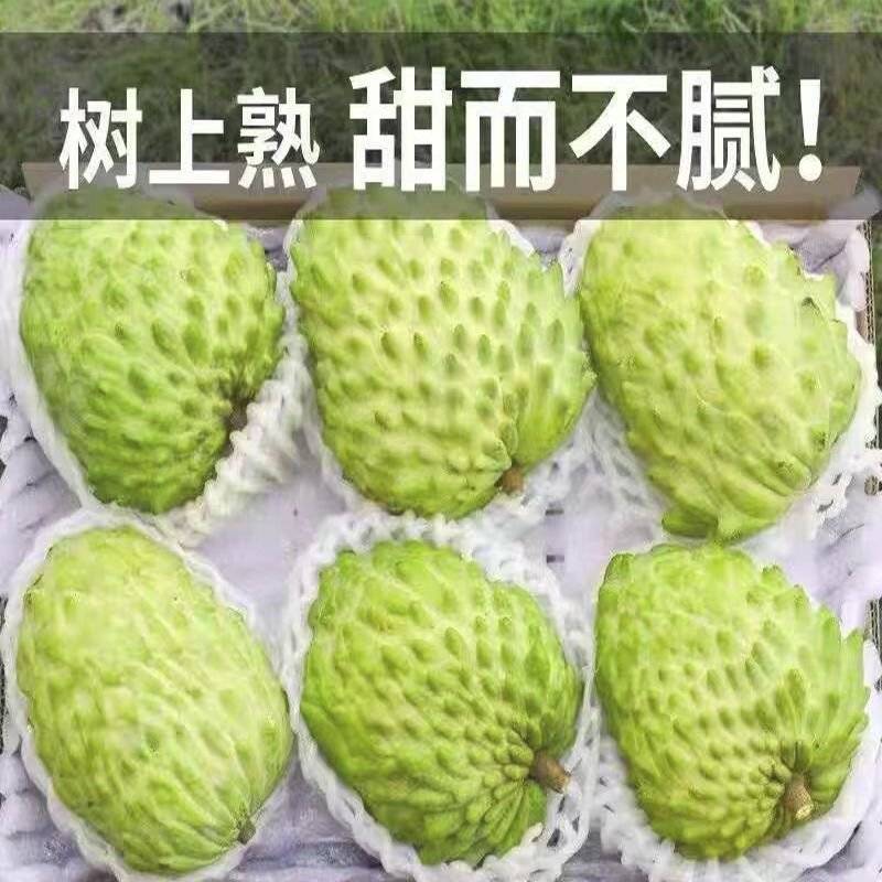 广西新鲜牛奶释迦果当季热带水果大果凤梨番荔枝释迦佛头非台