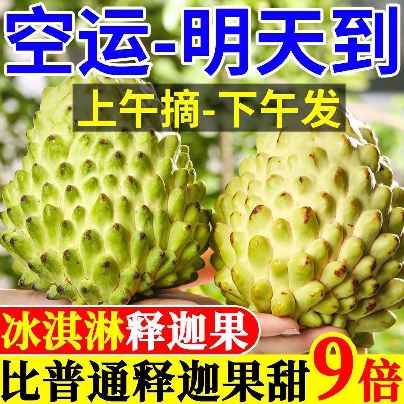 广西新鲜牛奶释迦果当季热带水果大果凤梨番荔枝释迦佛头非台