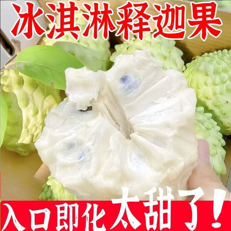广西新鲜牛奶释迦果当季热带水果大果凤梨番荔枝释迦佛头非台