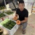 【实力】精品大青红心木瓜现货现发冰糖心欢迎下单
