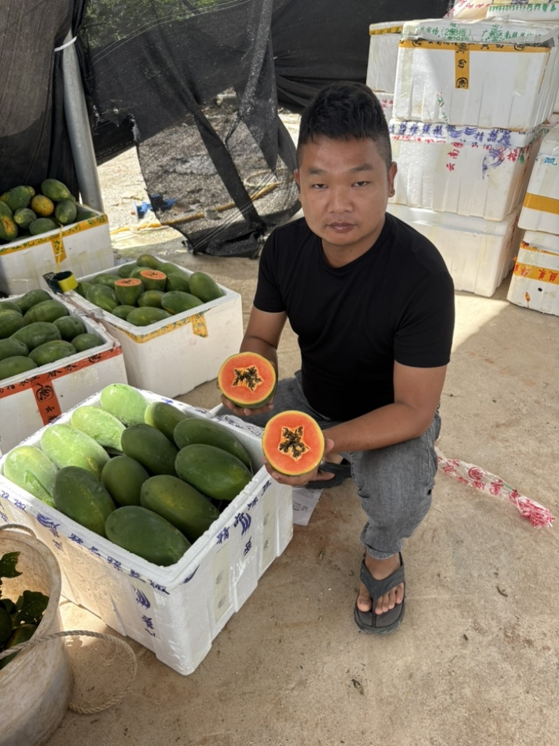 【实力】精品大青红心木瓜现货现发冰糖心欢迎下单