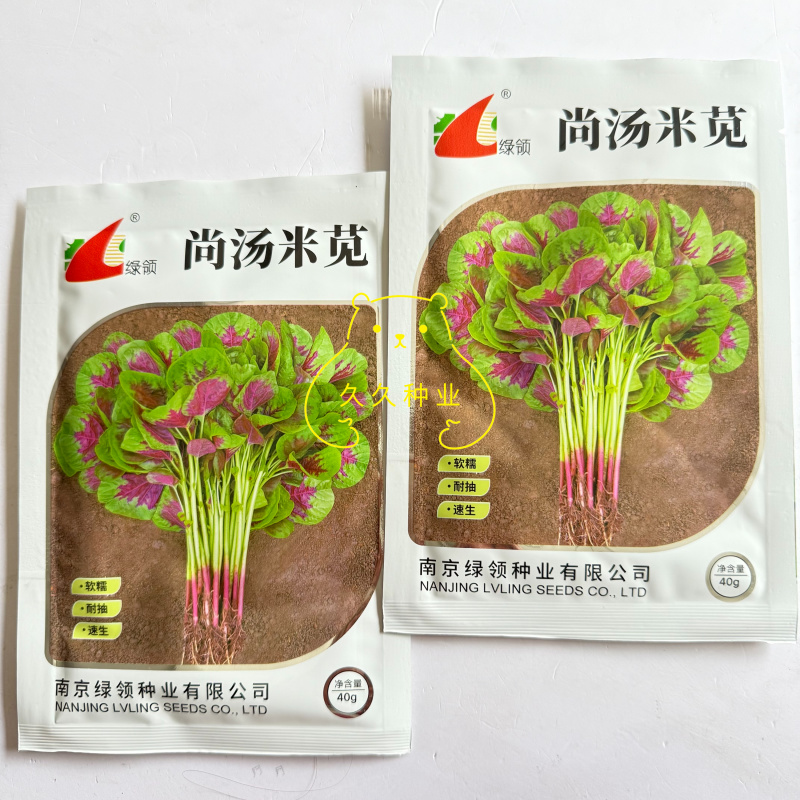 绿领尚汤米苋菜种子速生早熟白梗花红苋菜种籽耐热长寿菜汉菜