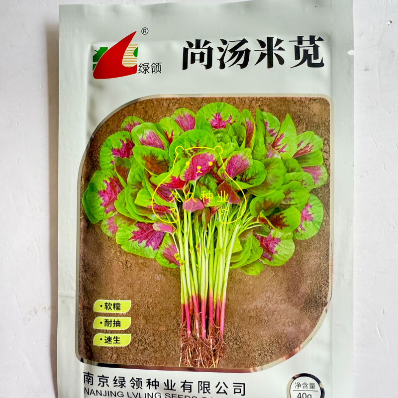 绿领尚汤米苋菜种子速生早熟白梗花红苋菜种籽耐热长寿菜汉菜