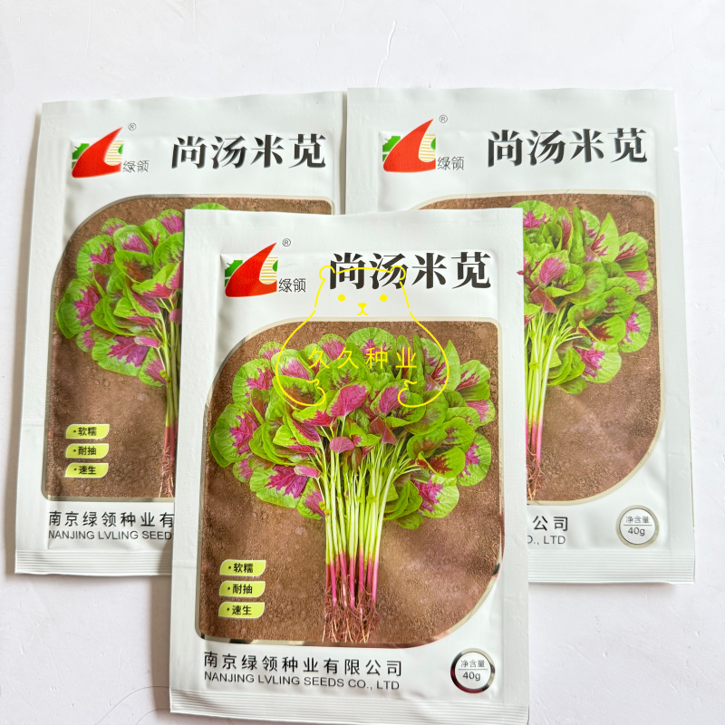 绿领尚汤米苋菜种子速生早熟白梗花红苋菜种籽耐热长寿菜汉菜