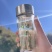 陕西白河春燕茶