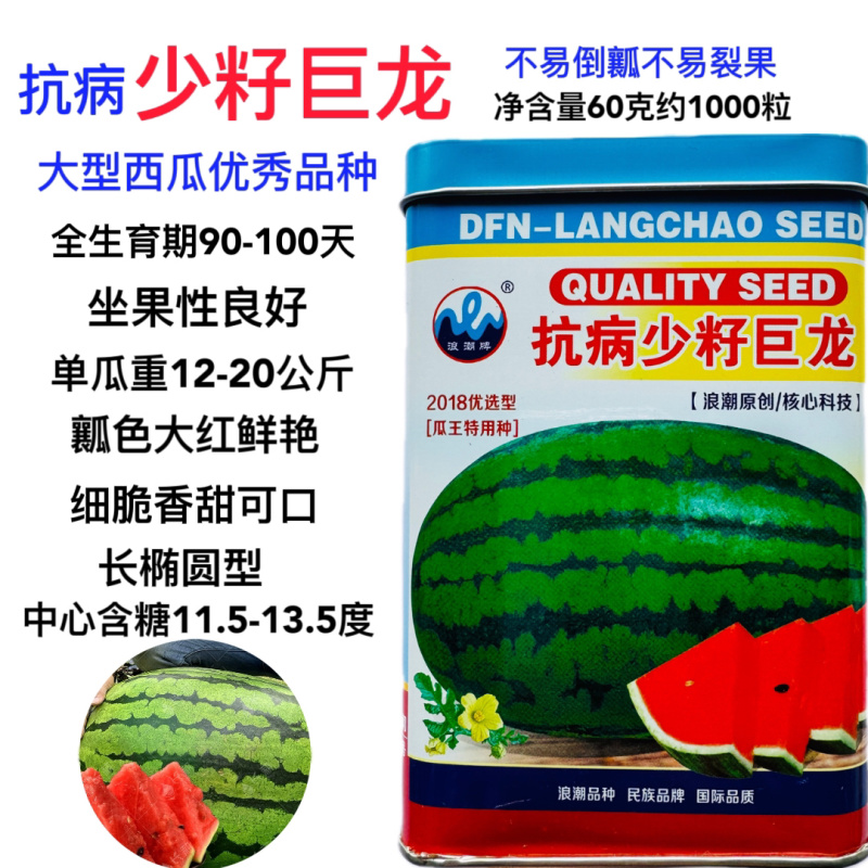 浪潮抗病少籽巨龙西瓜种子香甜可口皮薄耐裂花皮大型优质西瓜