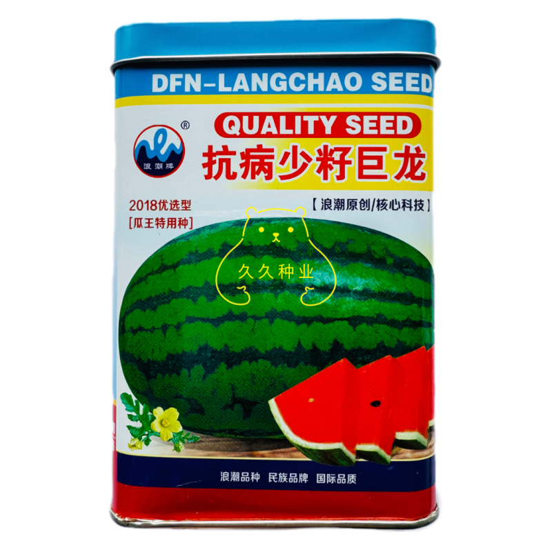 浪潮抗病少籽巨龙西瓜种子香甜可口皮薄耐裂花皮大型优质西瓜