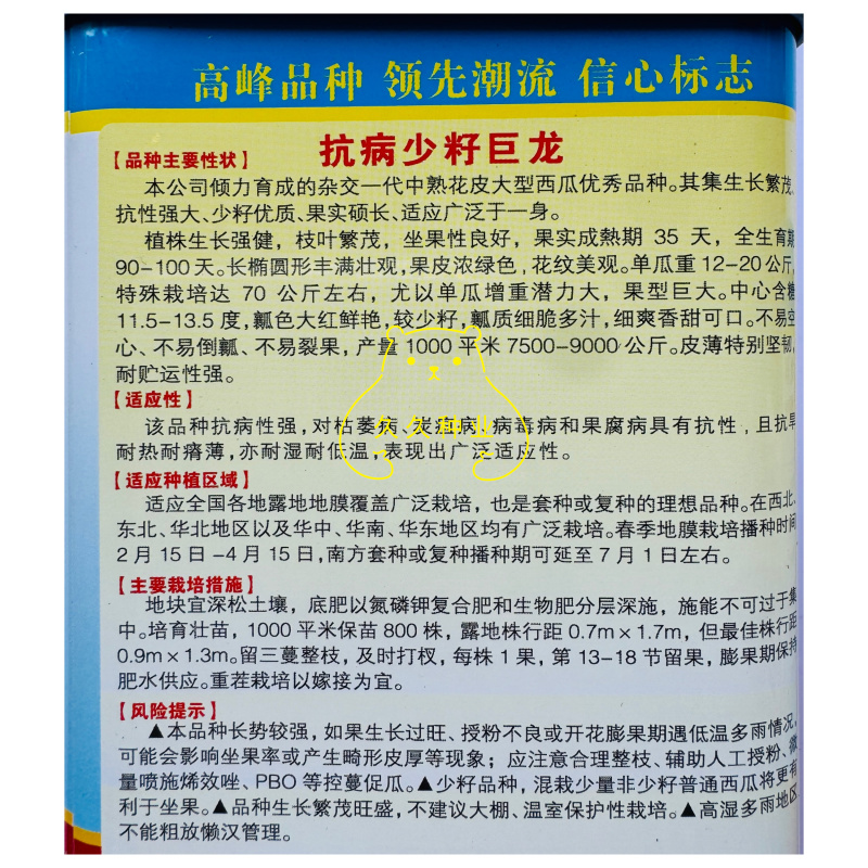 浪潮抗病少籽巨龙西瓜种子香甜可口皮薄耐裂花皮大型优质西瓜