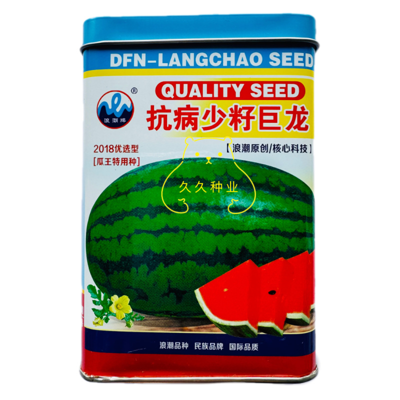 抗病少籽巨龙西瓜种子春夏季秋季超大巨型水果特大红瓤西瓜种