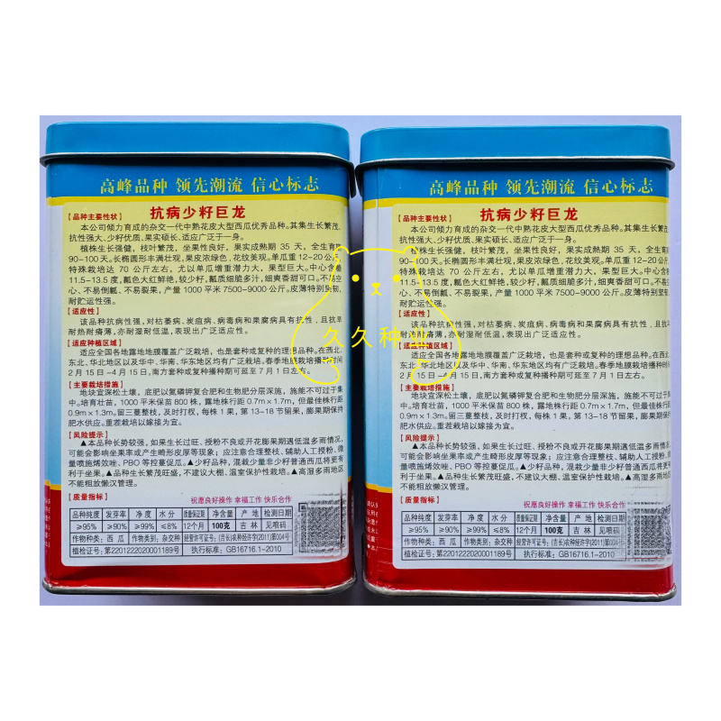 抗病少籽巨龙西瓜种子春夏季秋季超大巨型水果特大红瓤西瓜种