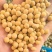 加拿大非转大豆豆制品专用大豆现货全国发货货源充足