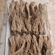当归，甘肃岷县当归产地直销，保质保量，价格合理，诚信第一
