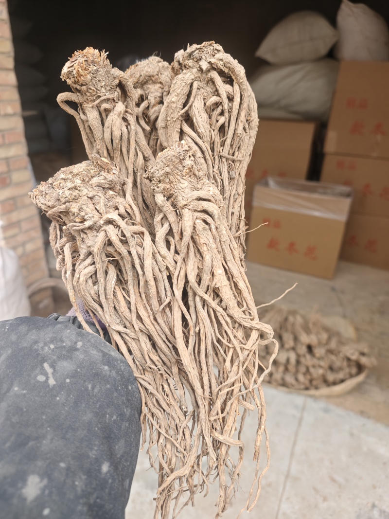 当归，甘肃岷县当归产地直销，保质保量，价格合理，诚信第一