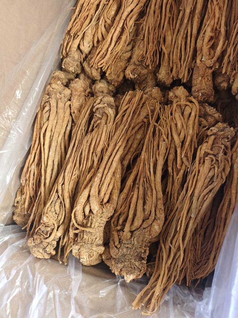 当归，甘肃岷县当归产地直销，保质保量，价格合理，诚信第一