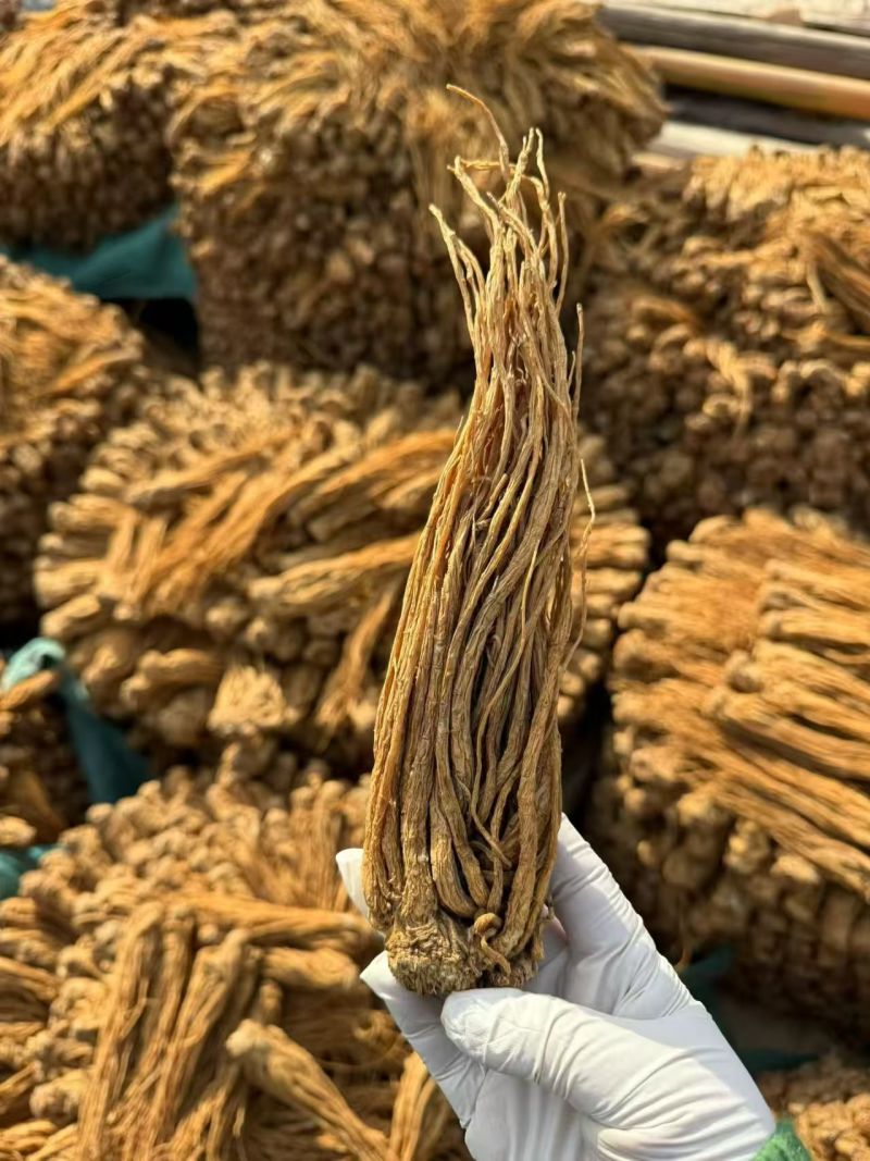 当归，甘肃岷县当归产地直销，保质保量，价格合理，诚信第一