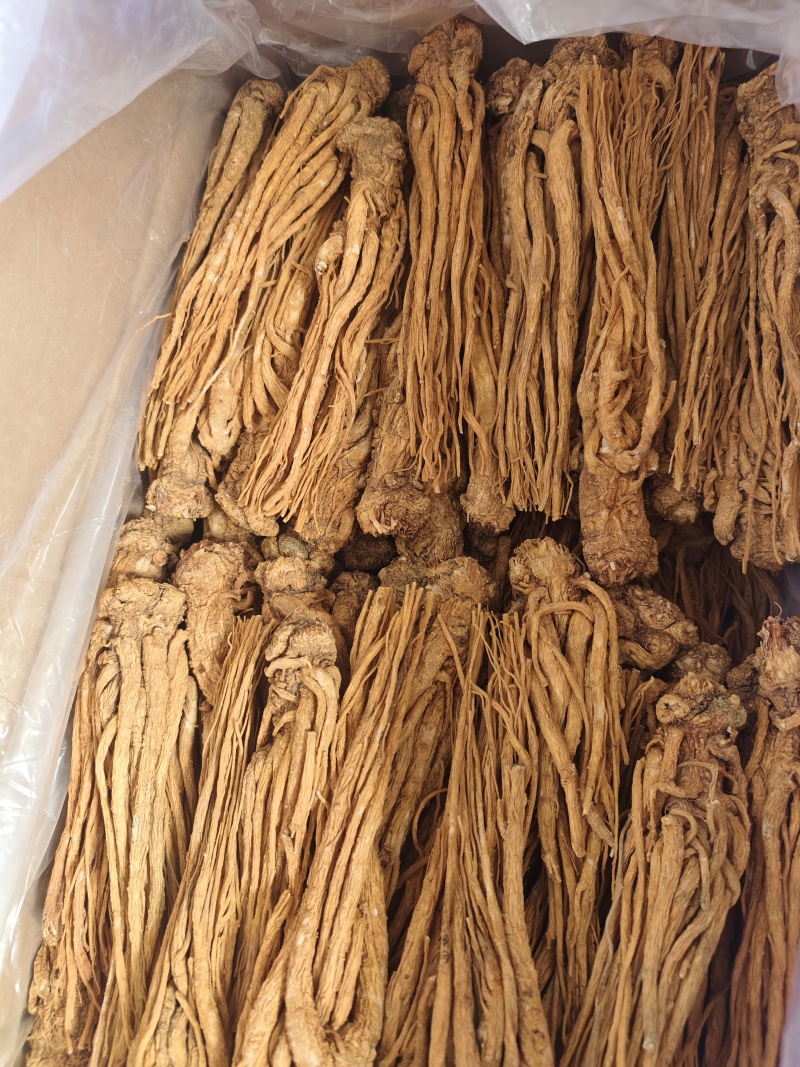 当归，甘肃岷县当归产地直销，保质保量，价格合理，诚信第一
