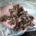猴脑菇菌片猴脑菌片大片猴脑菌片核桃菌名字玛咔菌片玛咖菌