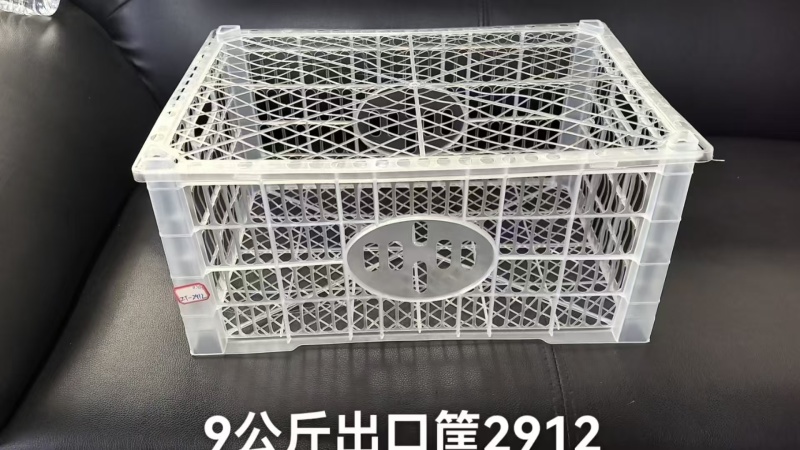 广西武鸣沃柑对接电商市场外贸出口中亚五国东南亚饮料加工厂