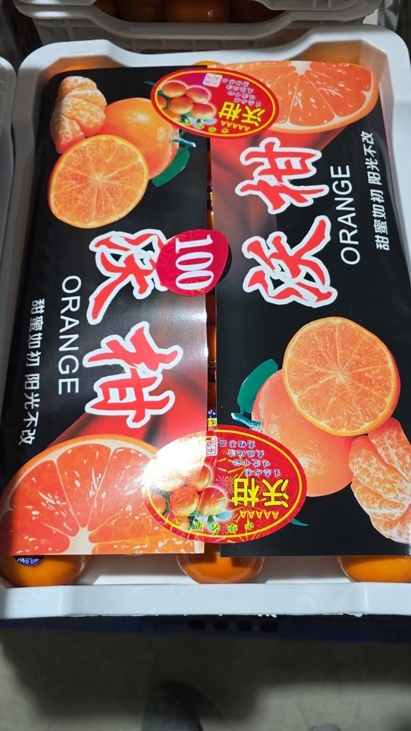 广西武鸣沃柑对接电商市场外贸出口中亚五国东南亚饮料加工厂