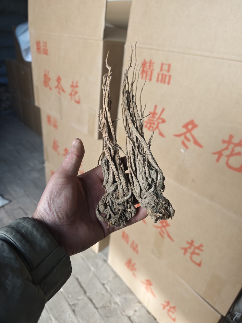当归，甘肃岷县当归产地直销，保质保量，价格合理，诚信第一