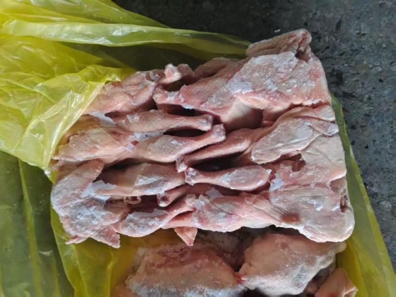 二级西装鸡