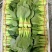【江苏上海青】淮安小青菜/油菜/精品小青菜/发往全国便宜