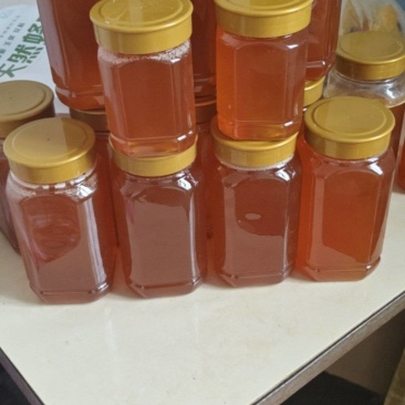 广西恭城高山土蜂蜜