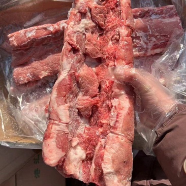 母猪龙骨