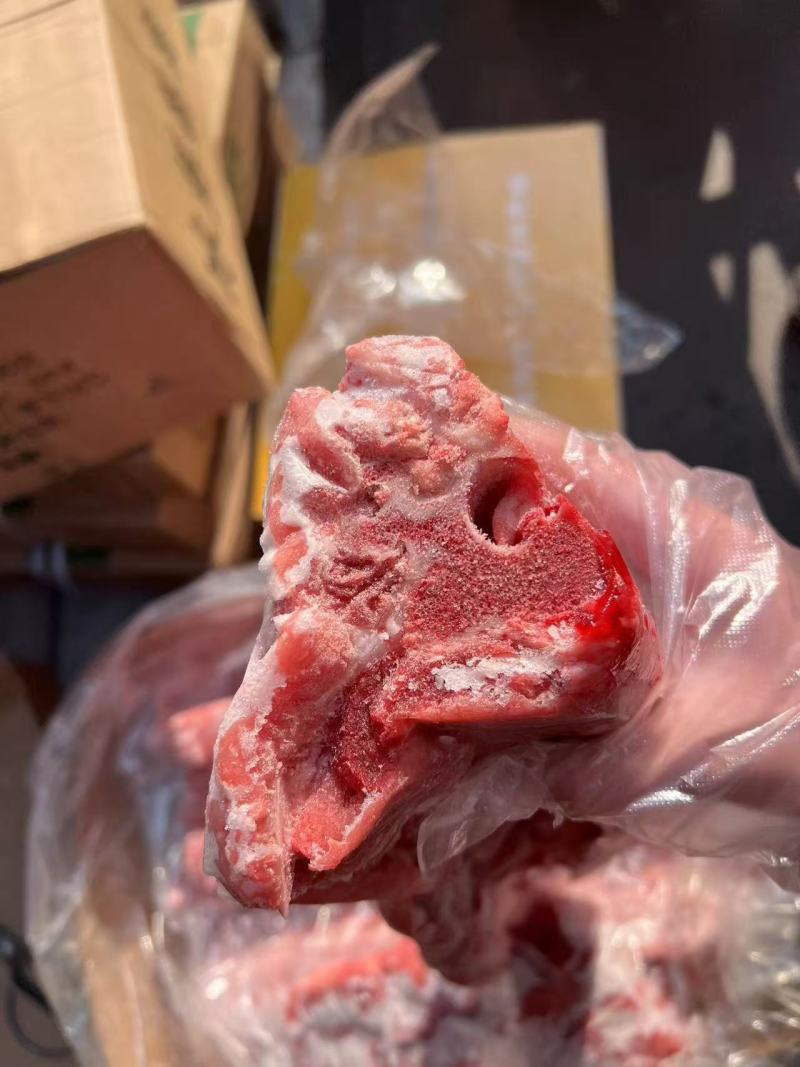 母猪龙骨
