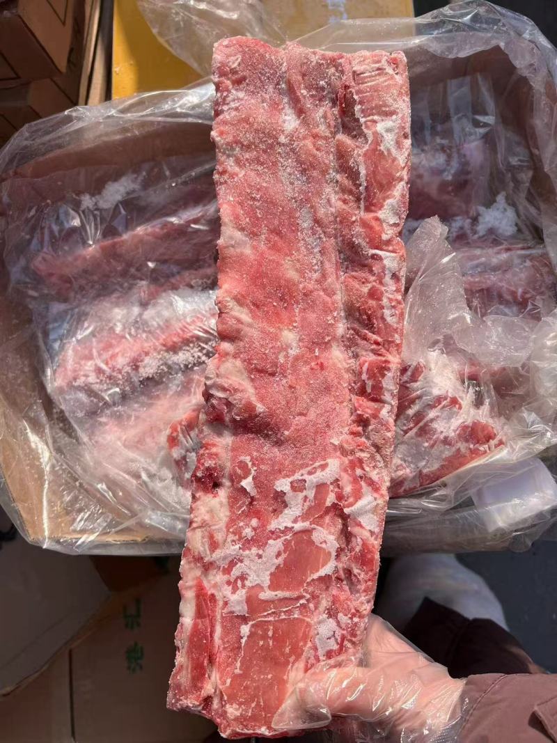 母猪龙骨