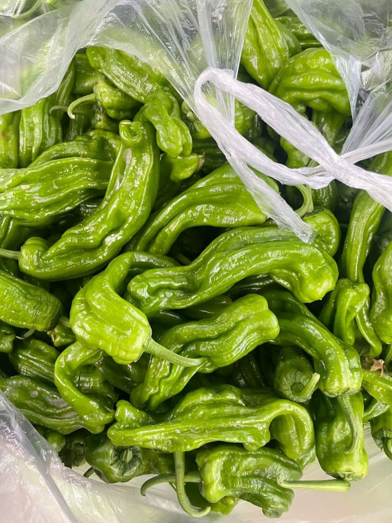 【江苏薄皮椒】江苏芜湖椒/青辣椒/江苏辣椒/电商一件批发