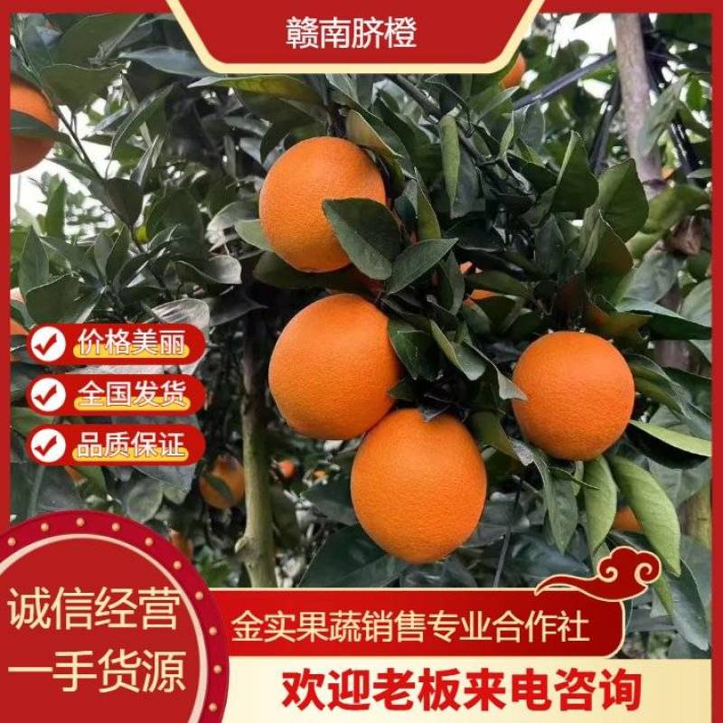 赣南脐橙产地一手货源供应链代办代发对接商超电商平台社区团